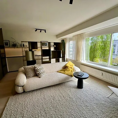 Luxury Near The Apartment *